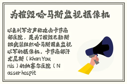 久久99精品久久久久久综合